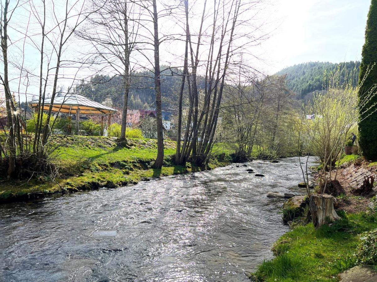 Ferienwohnung Kinzigblick - Balkon - Fuer Kinder - Mit Bettwaesche & Handtuecher Schenkenzell Екстериор снимка